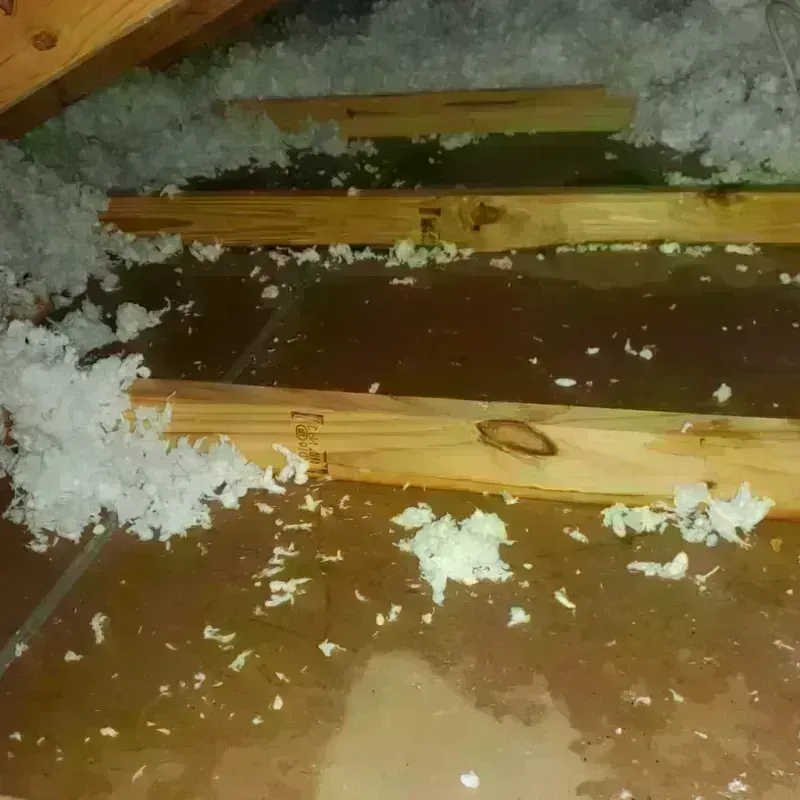 Attic Water Damage in Santa Cruz County, AZ