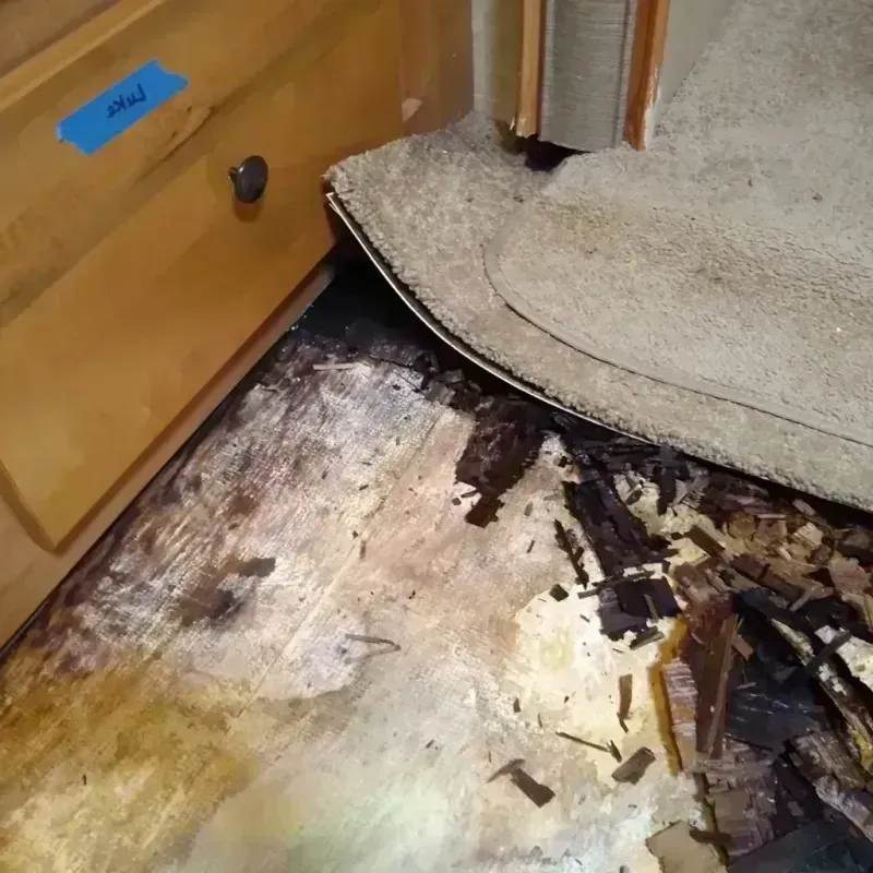 Wood Floor Water Damage in Santa Cruz County, AZ